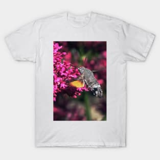 THE PANASONIC FZ 200 PAR OKAIO CREATION T-Shirt